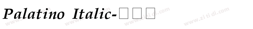Palatino Italic字体转换